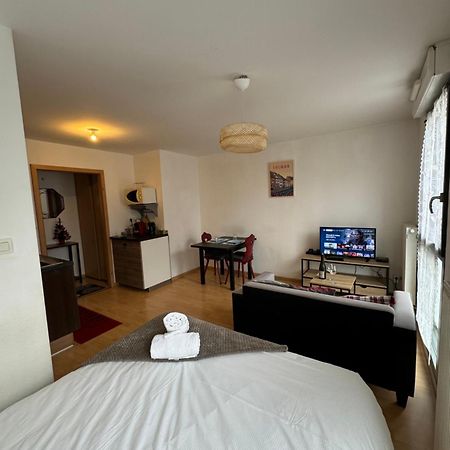 Le "Petit Colmarien" A 1Mn Du Centre Apartman Kültér fotó