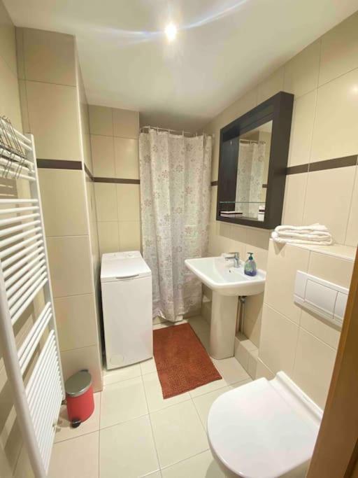 Le "Petit Colmarien" A 1Mn Du Centre Apartman Kültér fotó