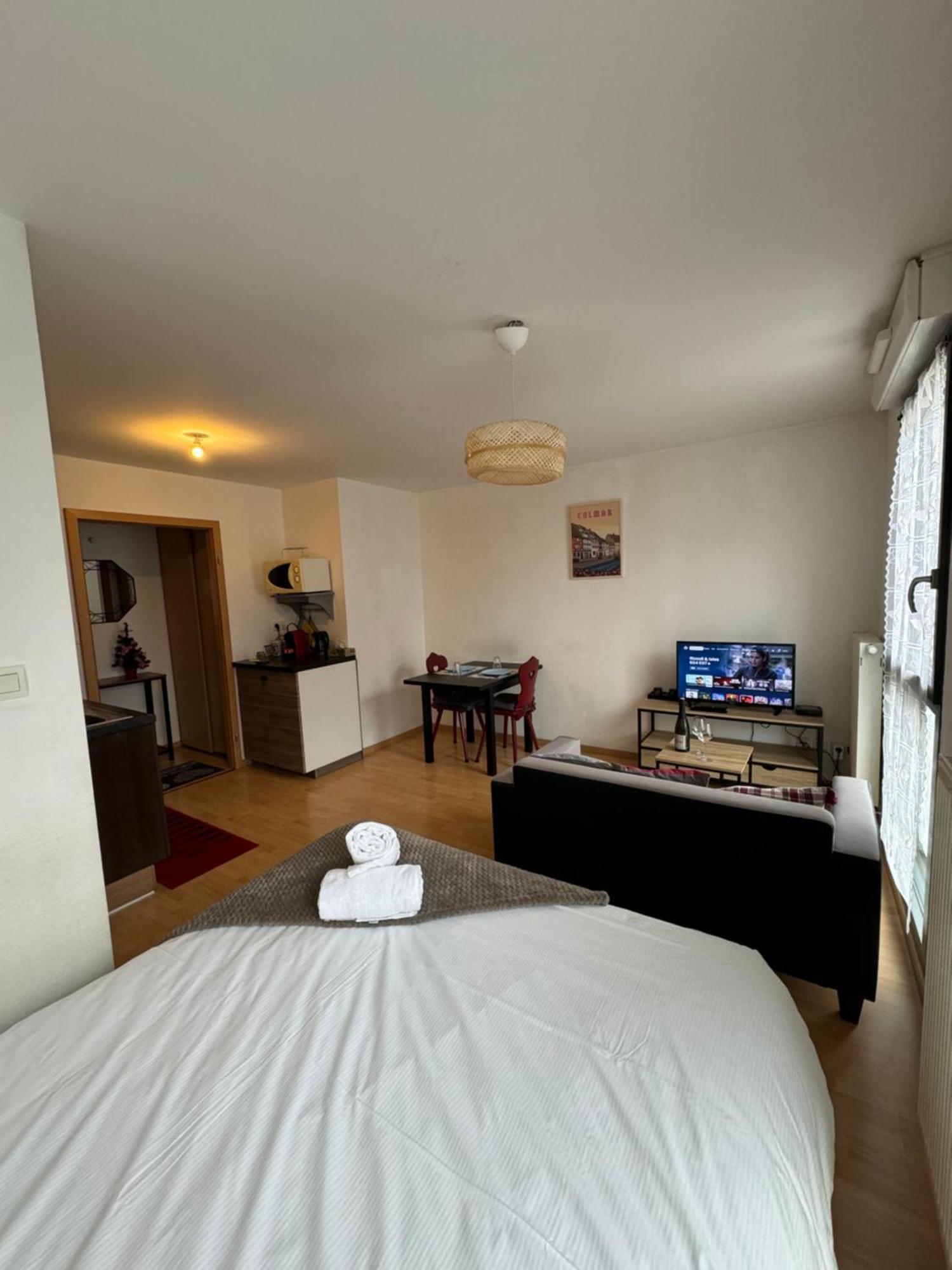 Le "Petit Colmarien" A 1Mn Du Centre Apartman Kültér fotó