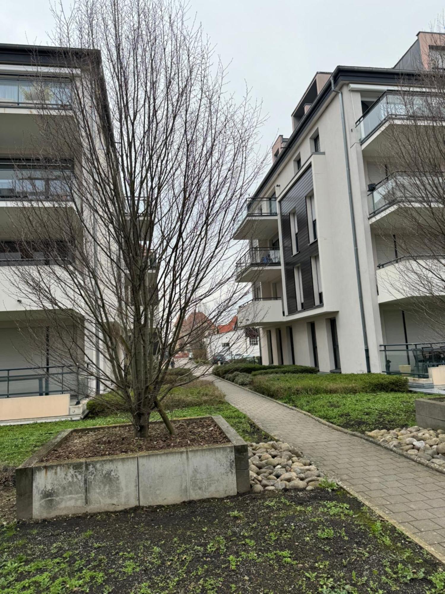 Le "Petit Colmarien" A 1Mn Du Centre Apartman Kültér fotó